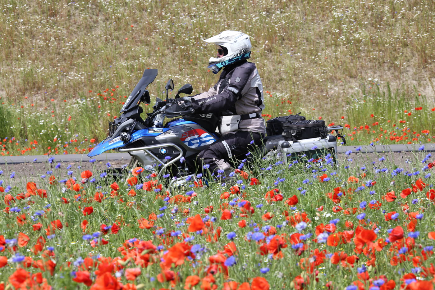 Motorrad fährt an einem blühenden Mohn- und Kornblumenstreifen entlang